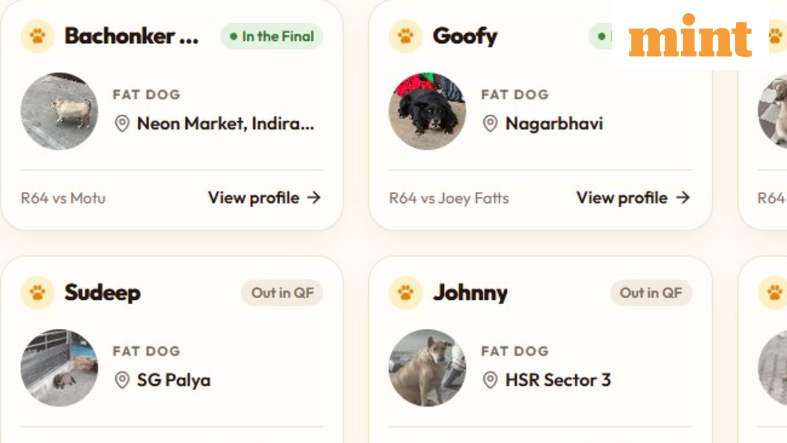 Bengaluru’s ‘fat dog election’: 64 canine contenders, two finalists and an internet-fuelled showdown — Mint India