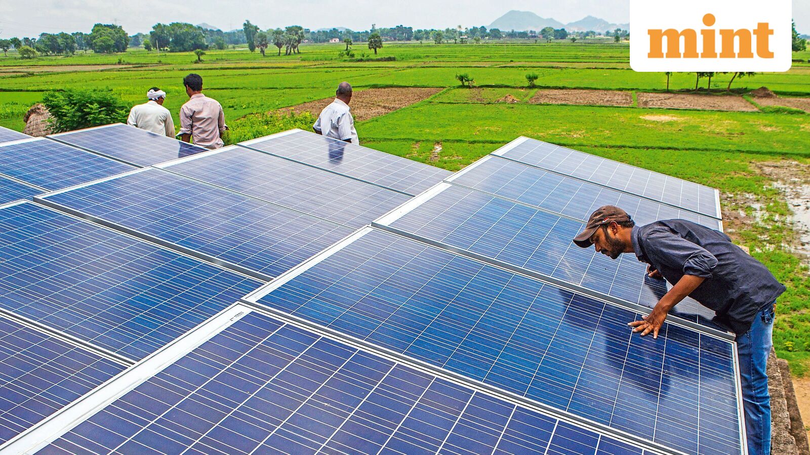Centre to back agrivoltaics under PM KUSUM 2.0: MNRE secretary — Mint India