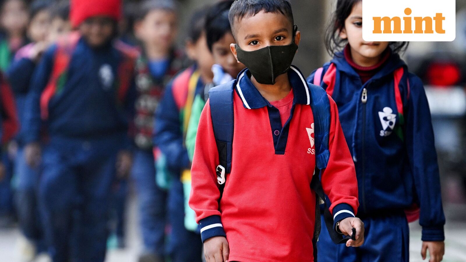 Chennai school holiday, Oct 21: Schools shut in four Tamil Nadu districts as heavy rains predicted | Check IMD alert — Mint India, Mumbai Schools news