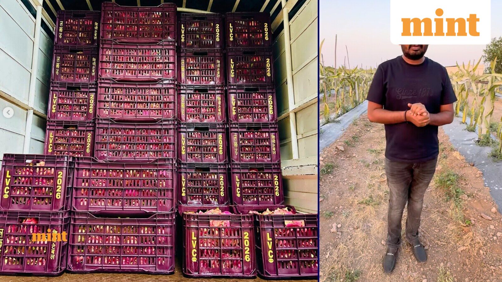 One crop changed everything: Meet the Maharashtra farmer who clocks ₹2 crore annual turnover by selling fruits — Mint India