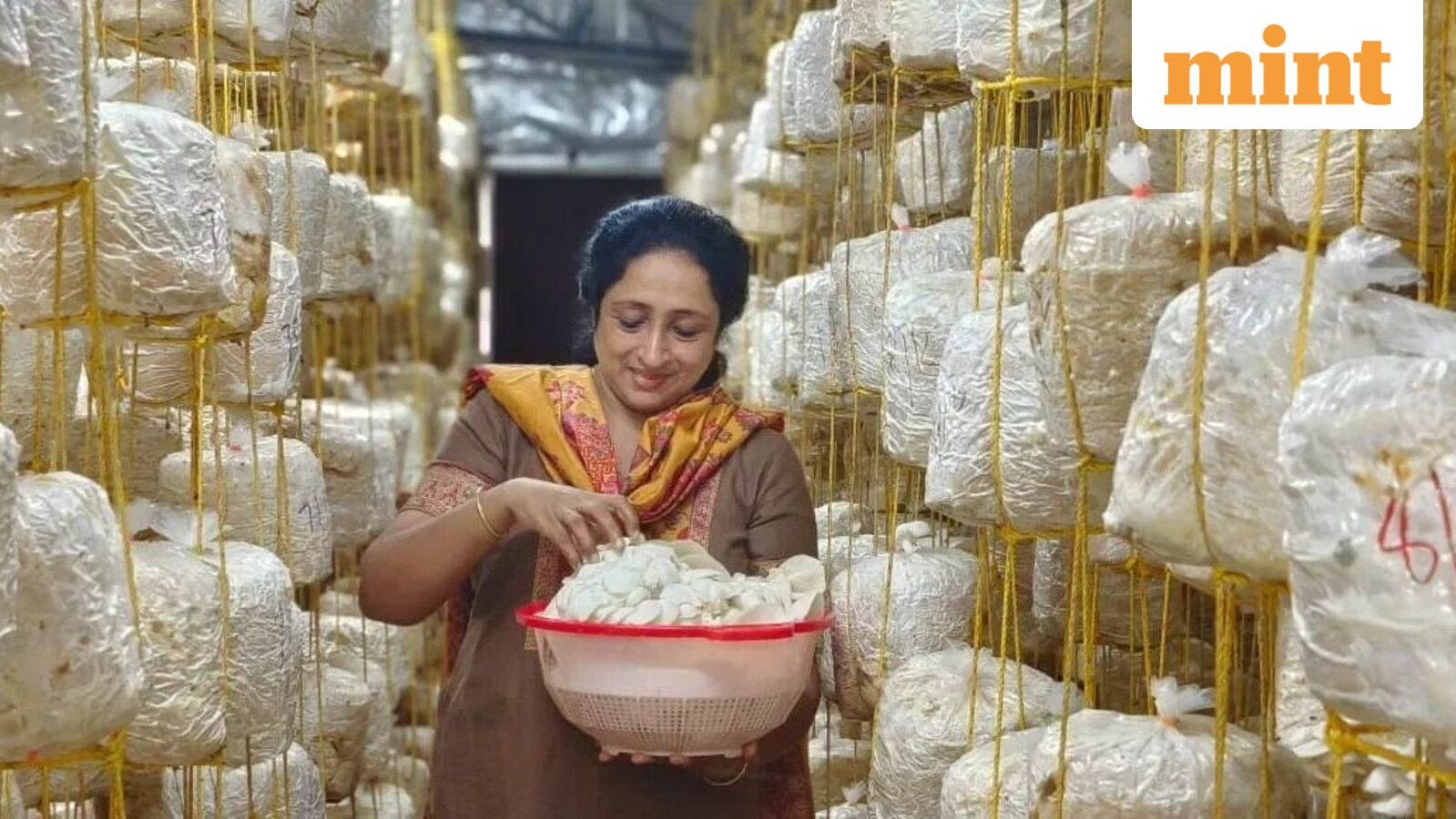 Meet Kerala woman who turned ₹250 into mushroom business earning ₹90 lakh annually: Here's how she did it — Mint India