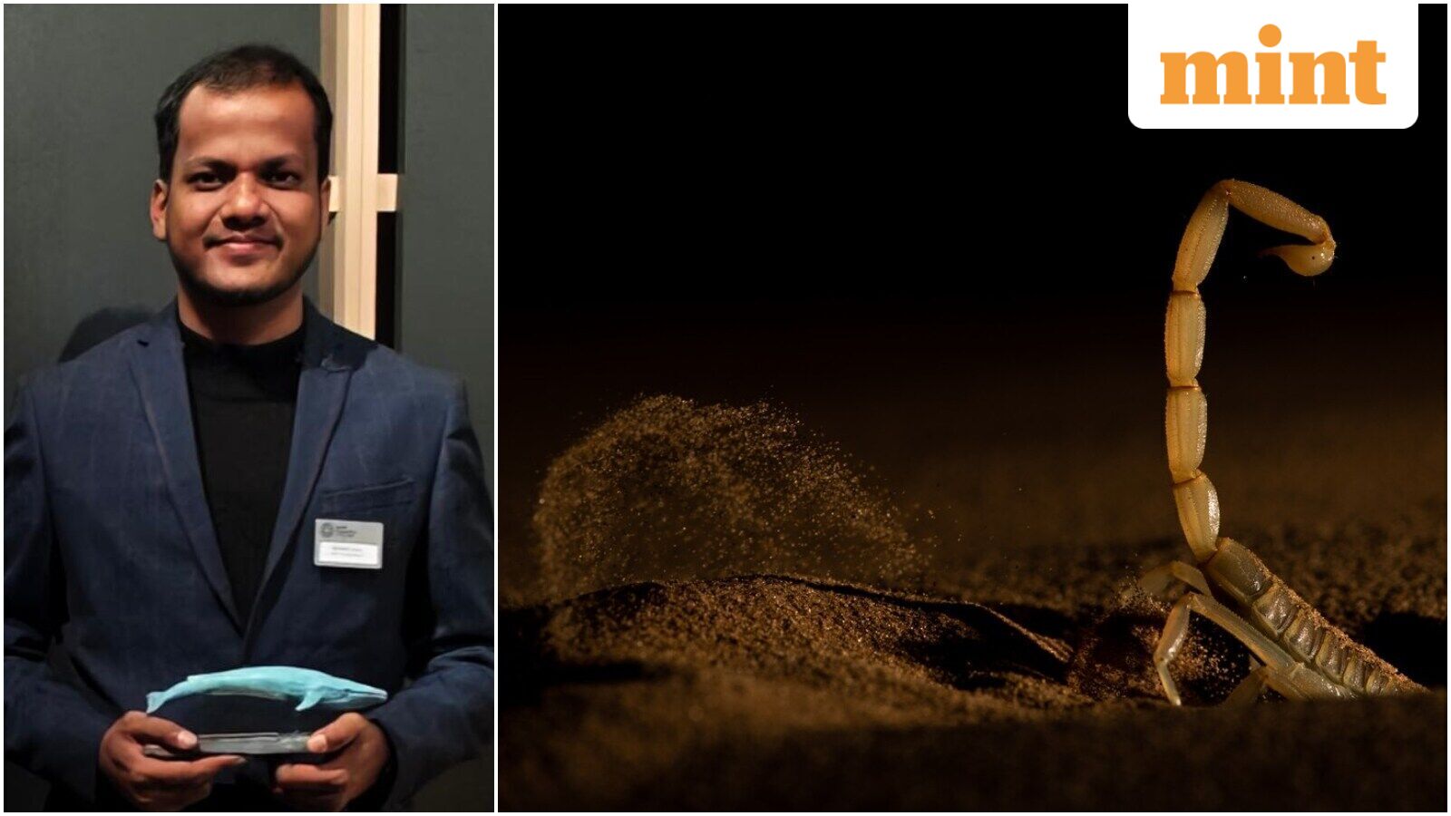 Wildlife Photographer of the Year 2026: Meet India's Sitaram Raul who won the award for scorpion image in Rajasthan — Mint India