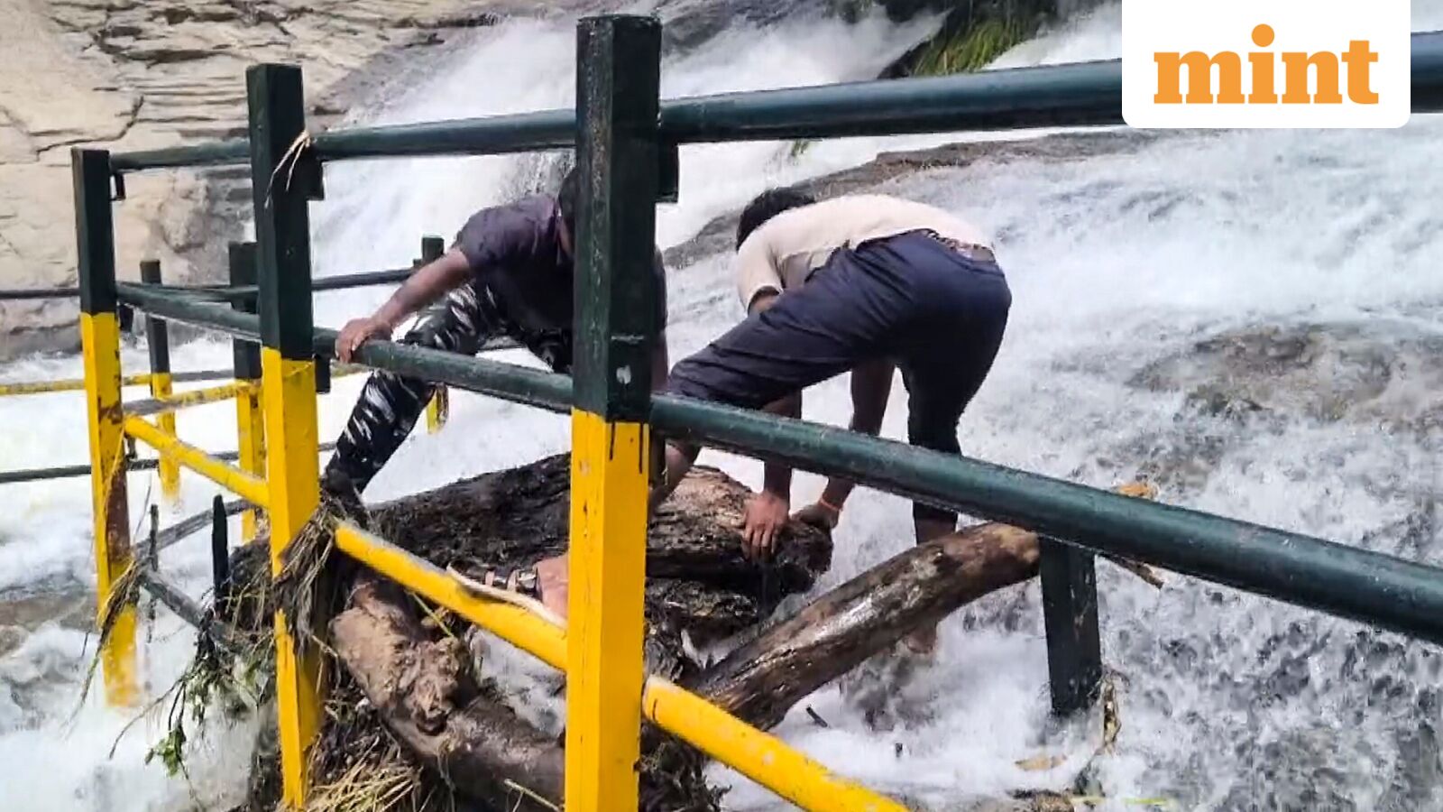 IMD weather today: ‘Red’ alert for heavy rains in Odisha, Kerala, Tamil Nadu as severe cyclonic storm nears Andhra — Mint India, Mumbai Schools news